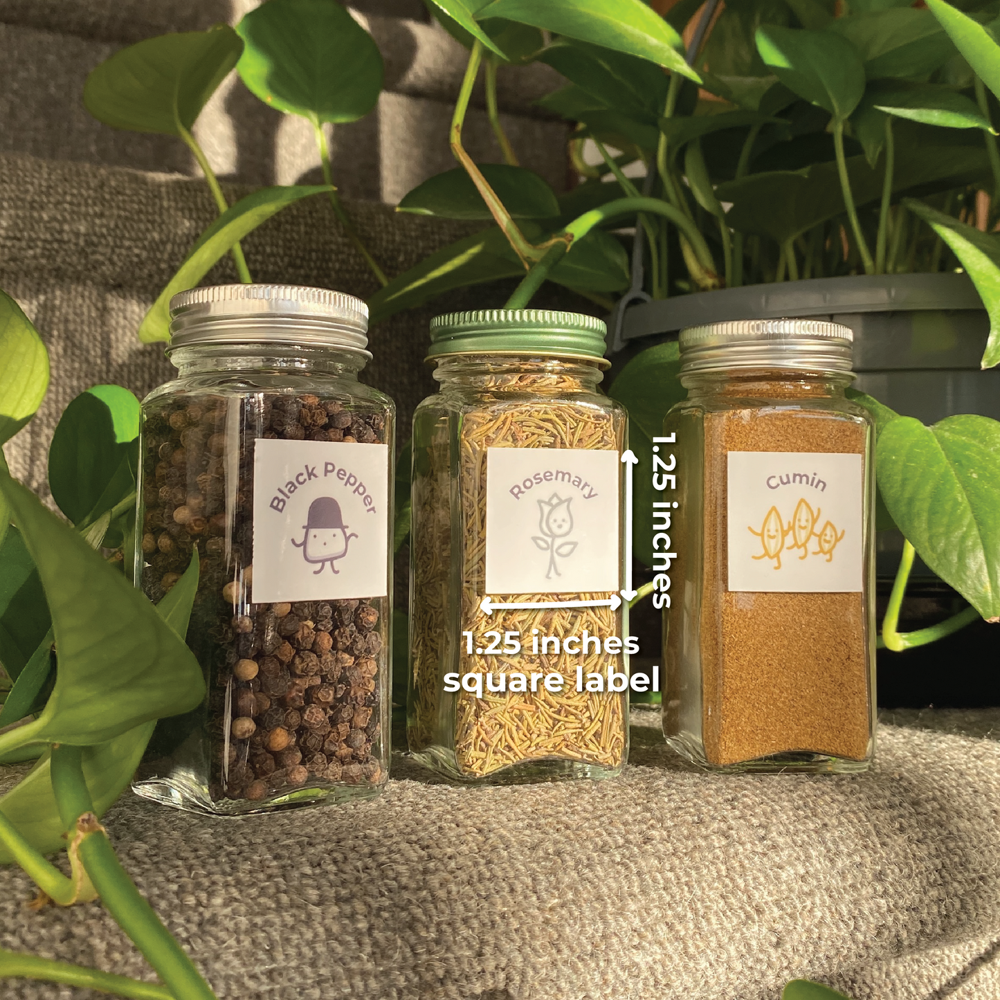 Spice Babies Starter Label Collection
