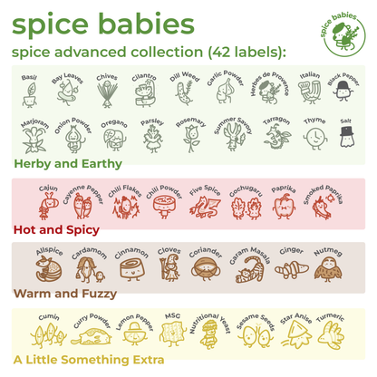 advanced spice collection showasing all the spice babies